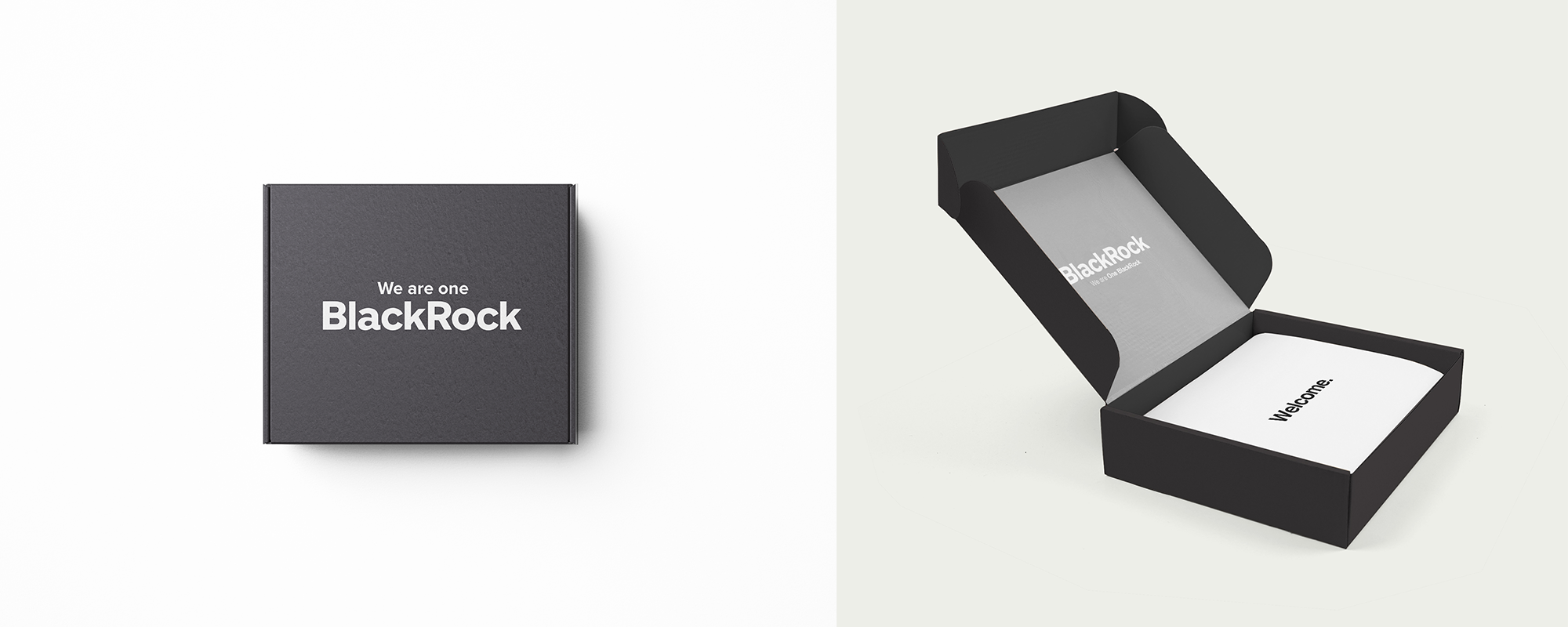 BlackRock educational box